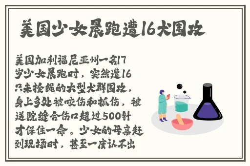 沈娜娜+爱豆传媒视频在线播放