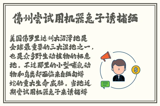 俄罗斯1317